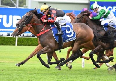Our Modena too good at Randwick